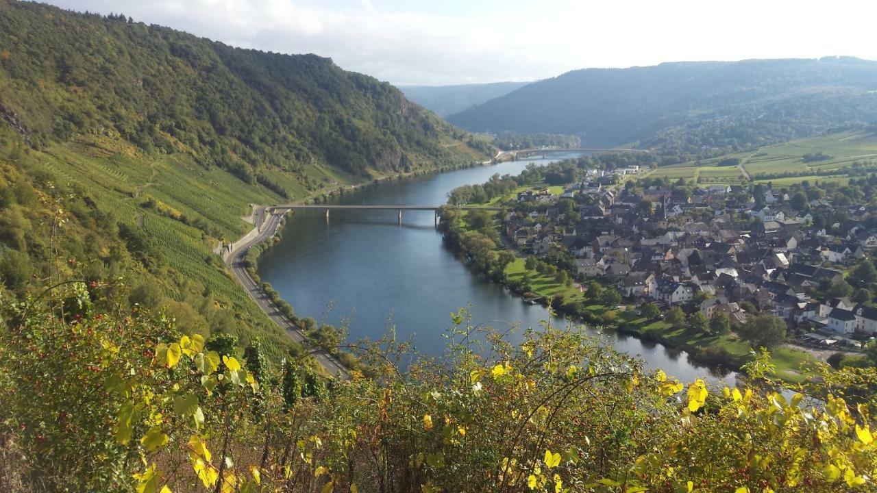 Der Weinladen Appartement Kröv Buitenkant foto